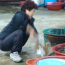 청도활어회식당 이미지