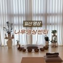 명상(기초) | [일산 명상] 스트레스 관리가 필요하다면? 백석동 명상 나우명상센터 1:1 수업 후기