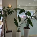 공주보청기 | [오티콘보청기 공주센터] 공주 산성동 어머니 보청기 후기, 편안한 일상의 변화