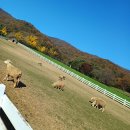 배울목장 이미지