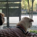 에코동물병원 이미지