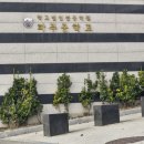 파주중학교 이미지