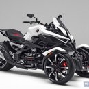 코리아윙카 이미지