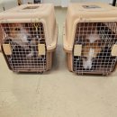 독클래스 이미지