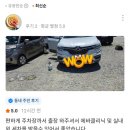 삼성크리닝 - 천안시 동남구 신부2길 44 | 평택 고덕동 / QM6 에어컨 곰팡이 냄새 제거! / 에바크리닝 출장 시공 후기