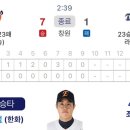 비니파크 네이버블로그
