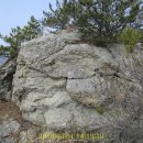 산양읍사무소 신청사 이미지