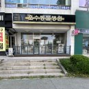 고려종합동물병원 티스토리