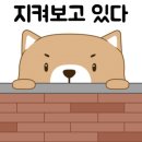 아이굿안경 이미지