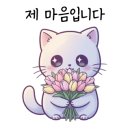 베스트365의원 이미지