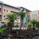 신효동-28 이미지