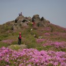 5월 정기 산행 보성 초암산(576m) 이미지