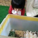 수아농장 이미지