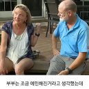 멍멍이 미용실 이미지