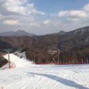 여기영 Daum카페