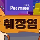 내품애동물병원 이미지