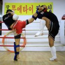 강호체육관 이미지