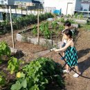 화곡4동주민센터 이미지