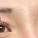 오늘 the 예쁜눈썹 이미지