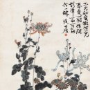 국화천 Daum카페