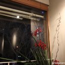 죽전곰탱이24시셀프세차장 이미지