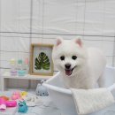 포엘몽 - 남양주시 덕송2로10번길 15-94 | 포엘몽