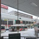 버스정류장(대창마트 앞) | [일본/오타루] [내돈내산] 오타루 카이센동, 삿포로 모츠나베 인생 맛집 정보 공유 🍣