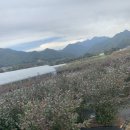 안담농장 이미지