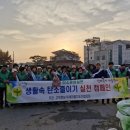시장바구니