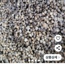 금산수삼도소매센터법인