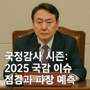 브니엘요양병원 | 국정감사 시즌: 2025 국감 이슈 점검과 파장 예측