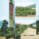 청운농원