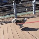 엘라 유치원 이미지