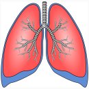 로그짐 잠실역점 이미지