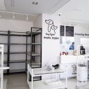 도그어게인 이미지