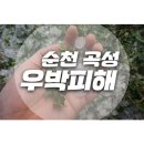 곡성-079 네이버블로그