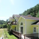 펜션비우고채우는숲 이미지