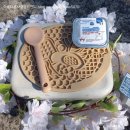 조아독 | 강아지습식추천, 포르자10 엑티웻 독더모 체험단 당첨후기♡