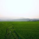 초원암소숯불 이미지