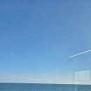 바다물회 | 경주 돌고래횟집 솔직 후기｜바다뷰 미쳤다… 물회는 인정, 회덮밥은 글쎄