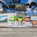 보성군청 이미지