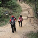 정자주유소 이미지