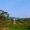 대청호 자연수변공원 이미지