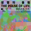 합창연합회 가을합창축제 | 2025 대구 9월 축제 일정 | 판타지아 대구 페스타, 10일간의 예술·공연·축제 주간