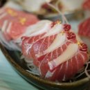 정필참치 이미지