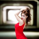 다모