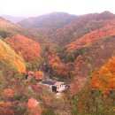 민주지산자연휴양림 티스토리