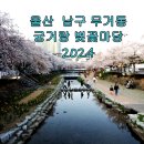울산 남구 무거동 궁거랑 벚꽃 풍경 이미지