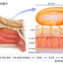 트루아로마테라피