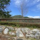 덕원관광농원 이미지